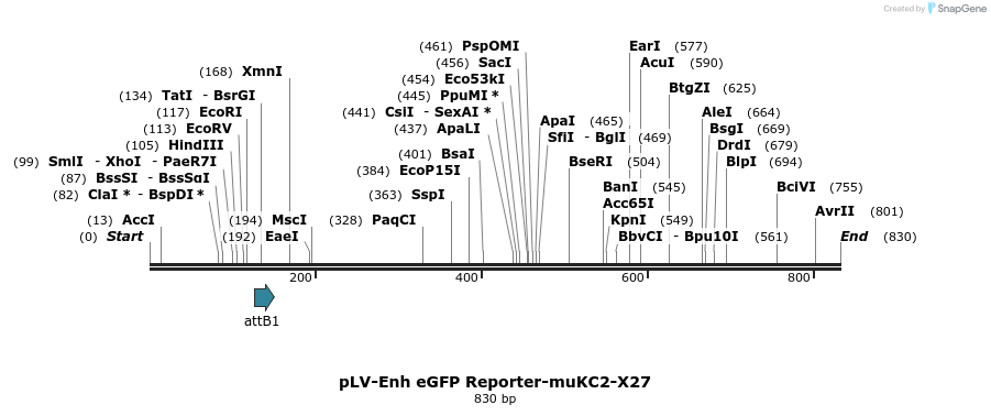 98769_map