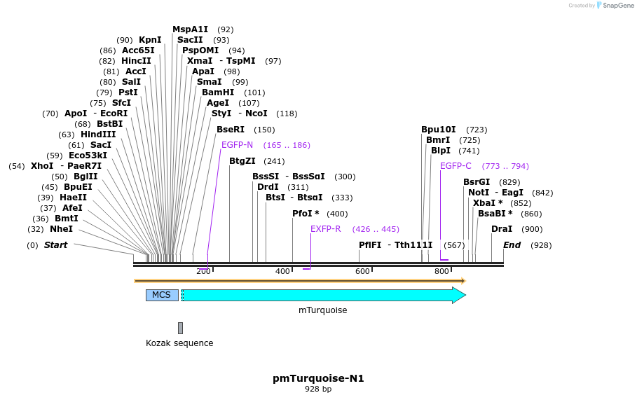 98774_map