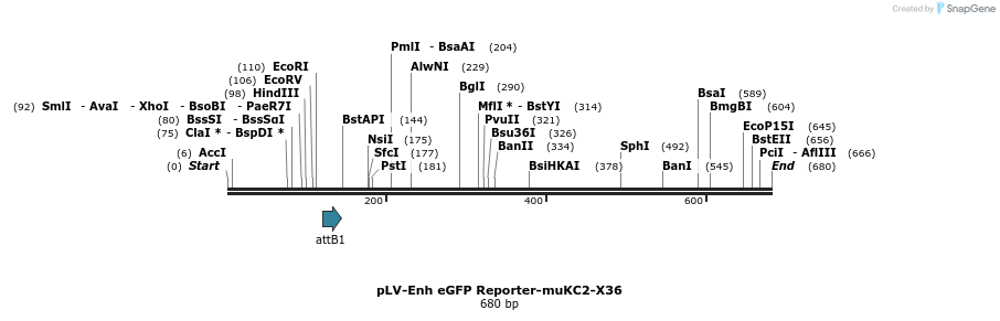 98775_map