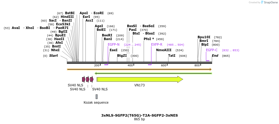 98782_map