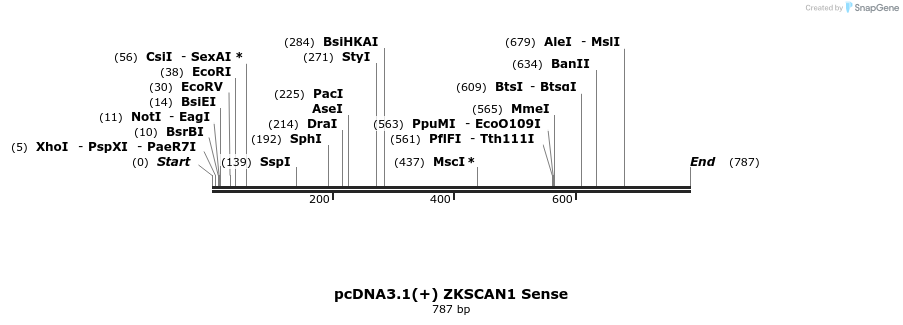 98784_map