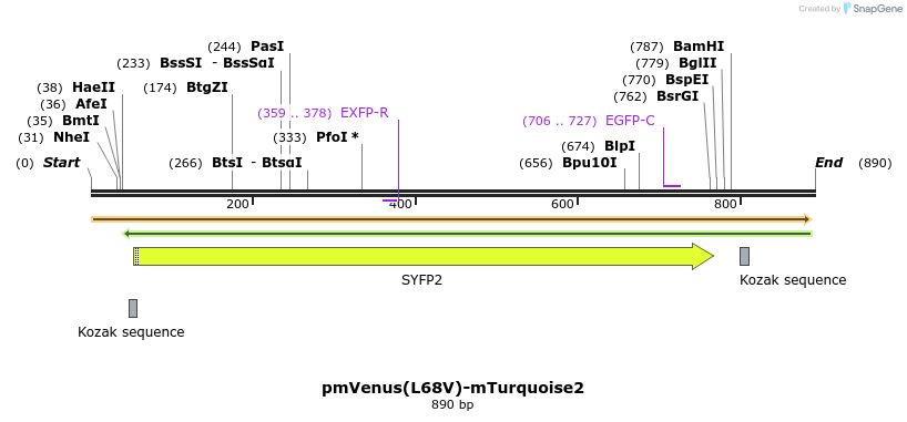 98787_map