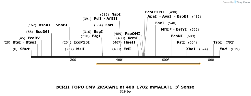 98792_map