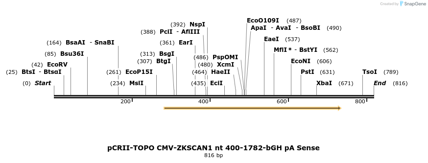98793_map