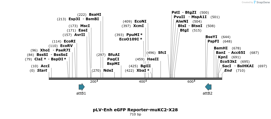 98794_map