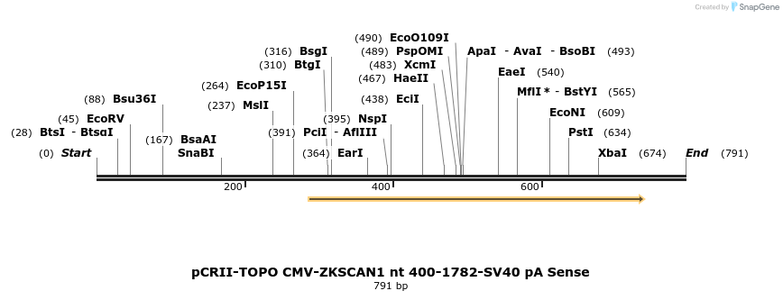98795_map
