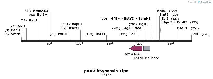 98796_map