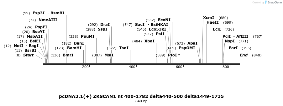 98797_map