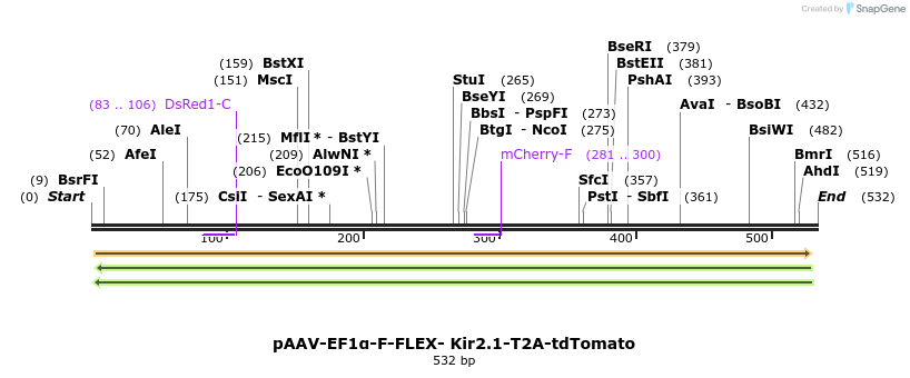 98801_map