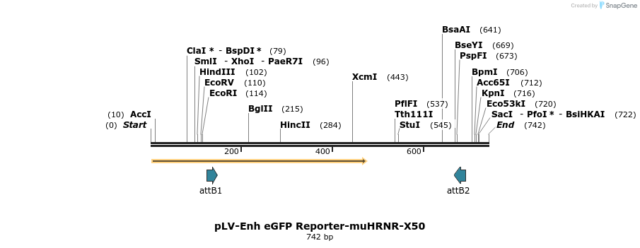 98809_map