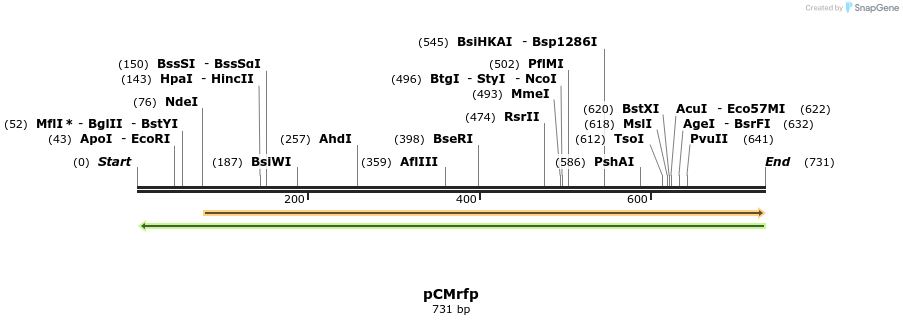 98815_map