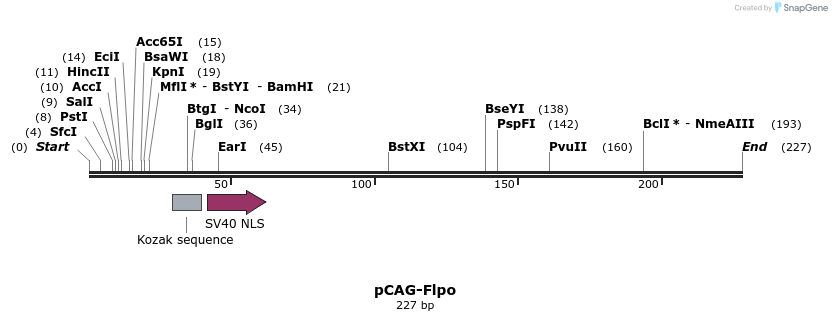 98818_map