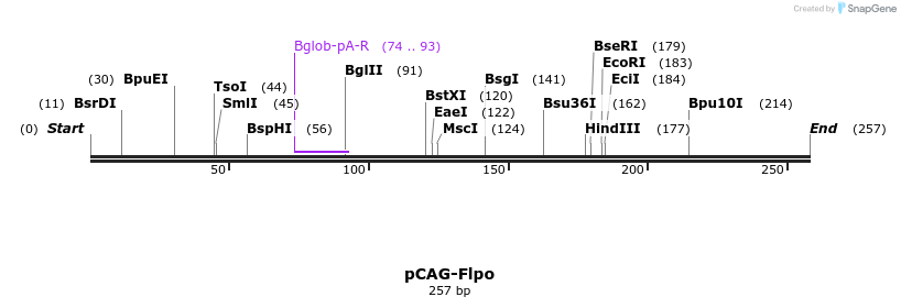 98819_map