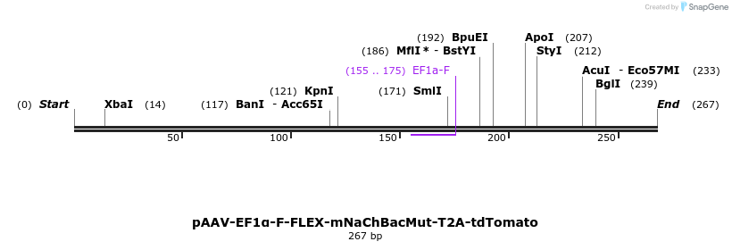 98820_map