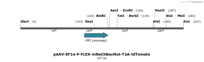 98823_map