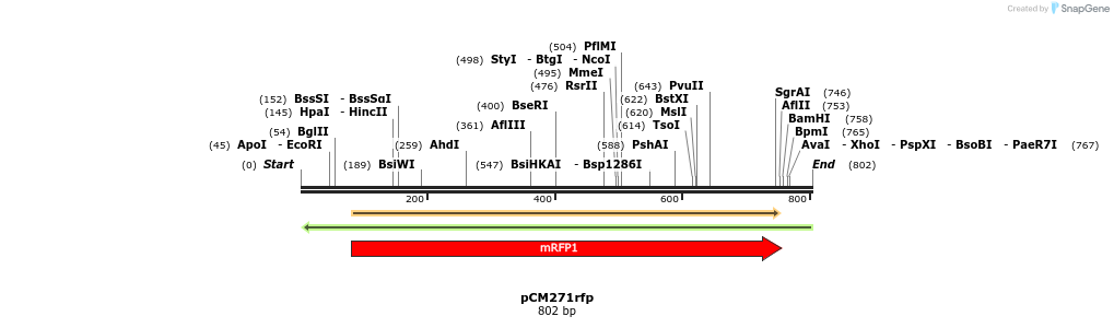 98824_map