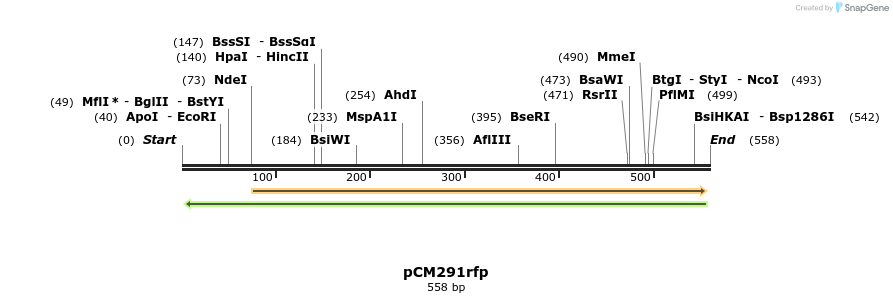 98831_map