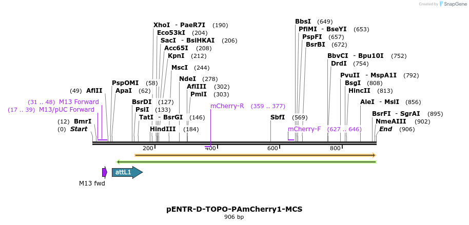 98837_map