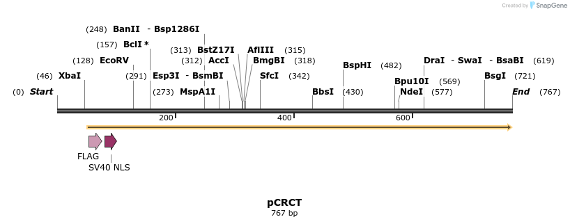 98838_map