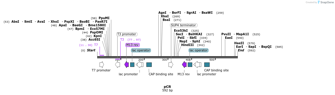 98841_map