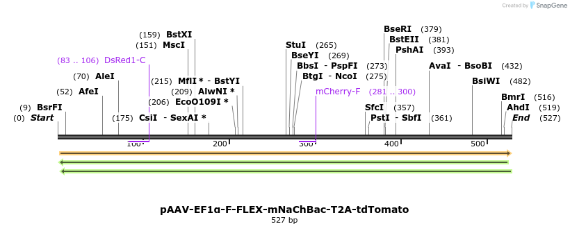 98843_map