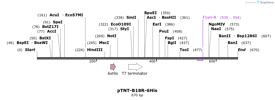 98844_map
