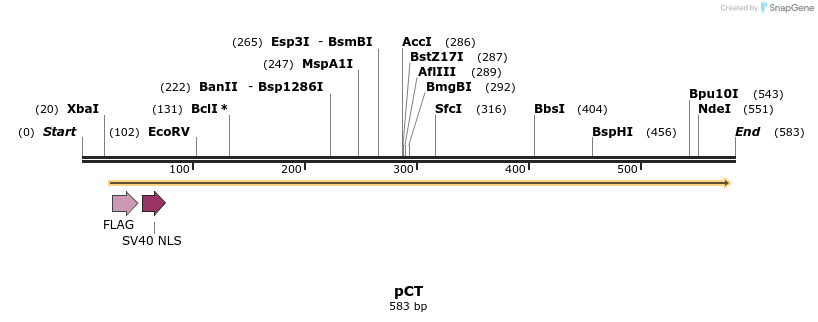 98846_map