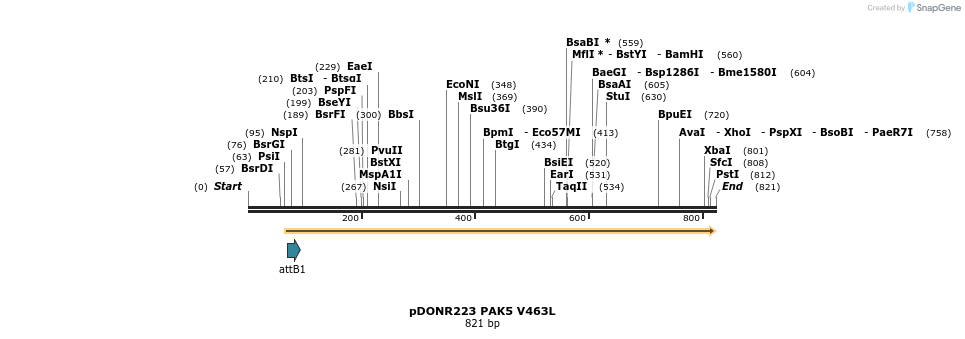 98847_map