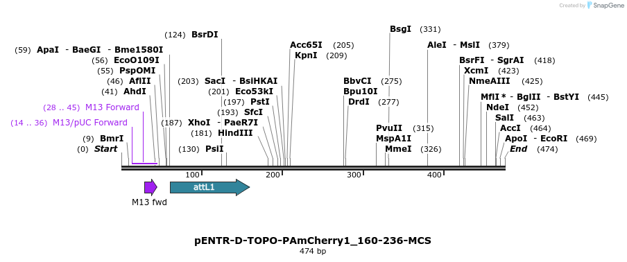 98849_map