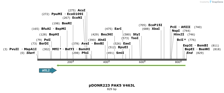 98851_map