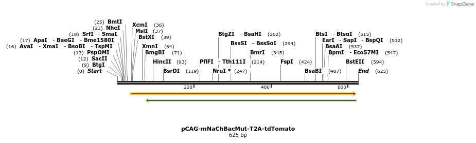98852_map