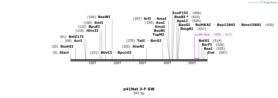 98858_map
