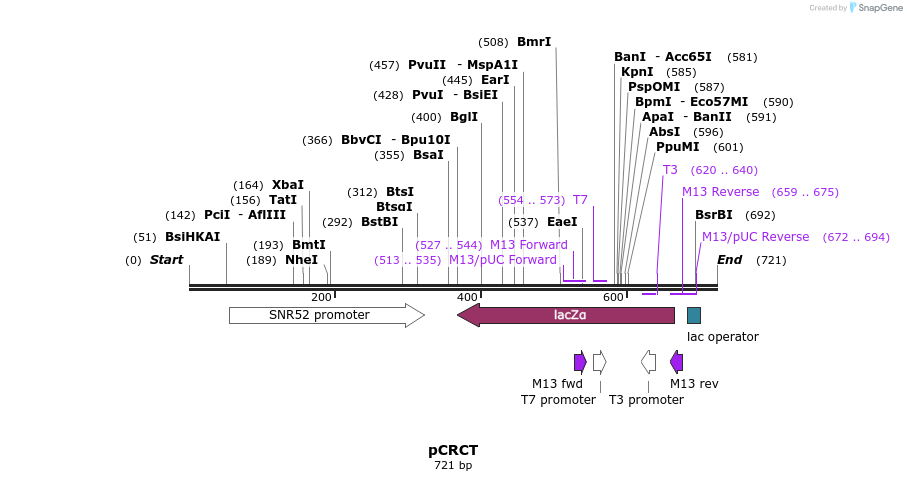98862_map