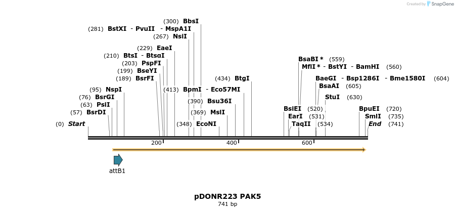 98875_map