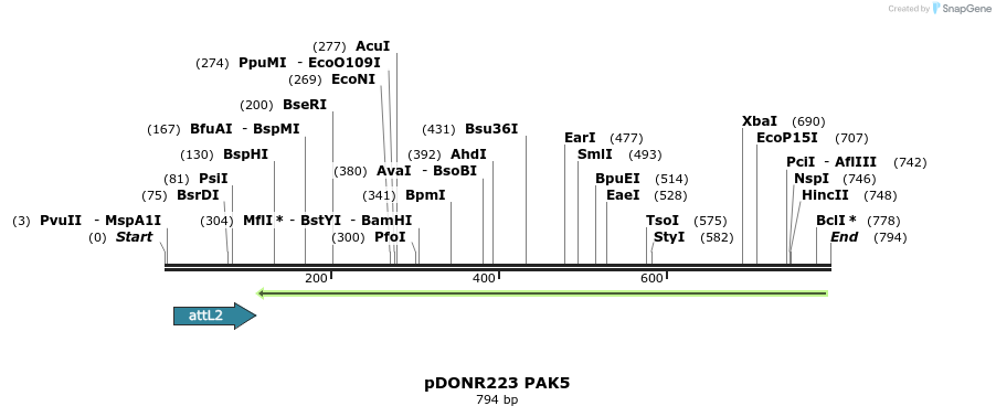 98876_map