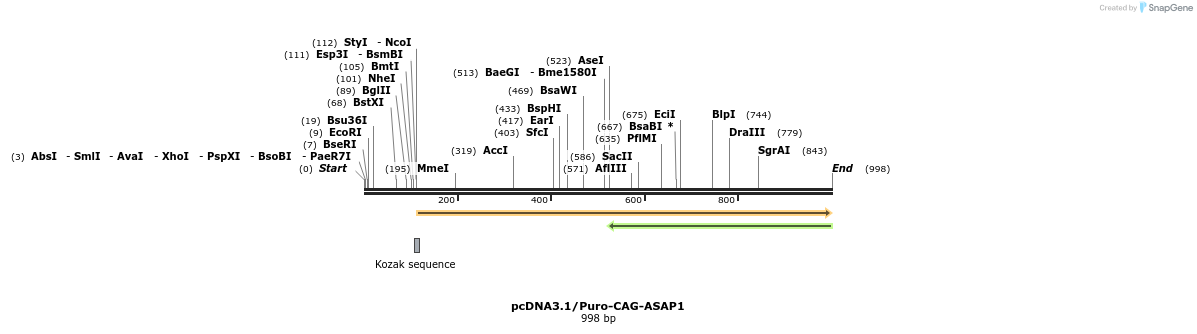 98879_map