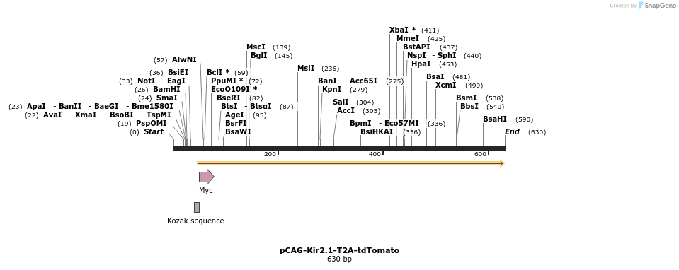 98889_map