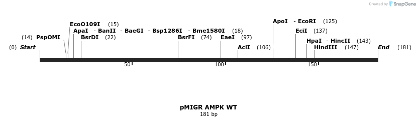 98895_map
