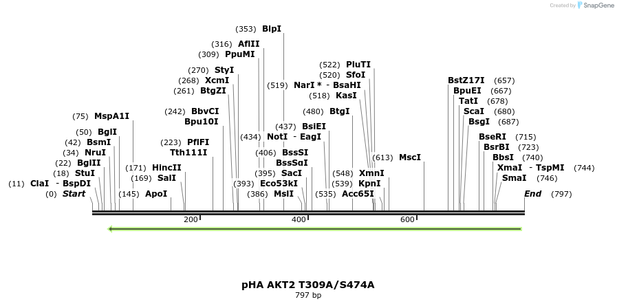 98901_map