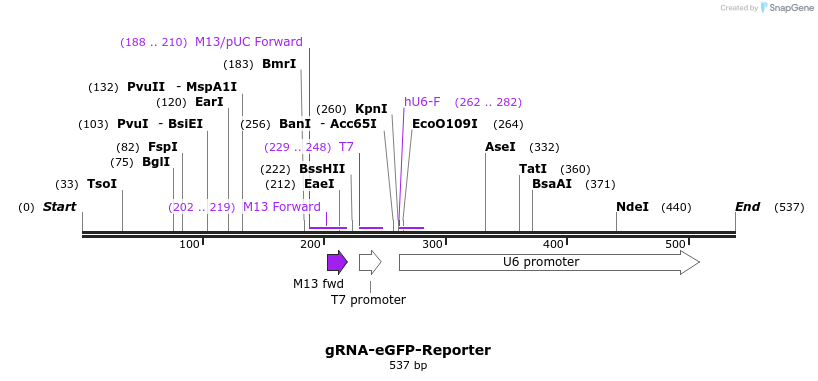 98902_map