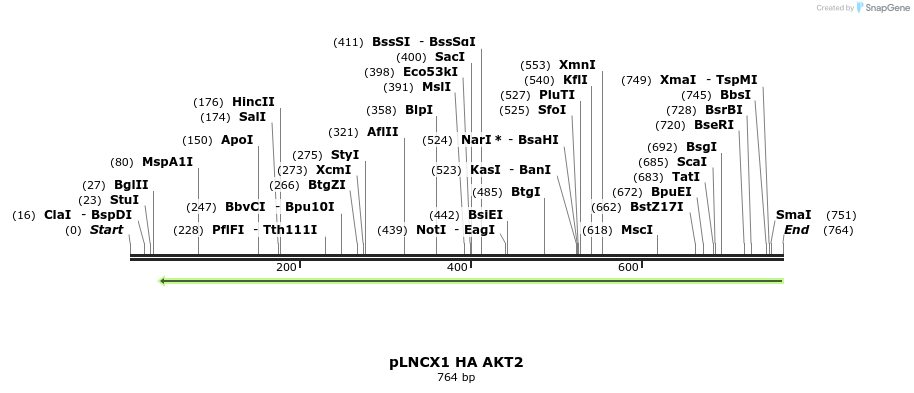 98904_map