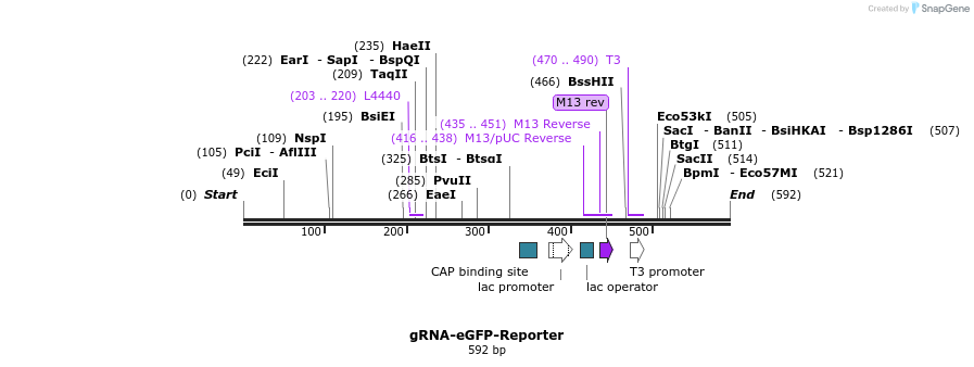 98905_map