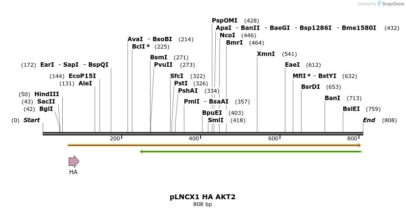 98906_map
