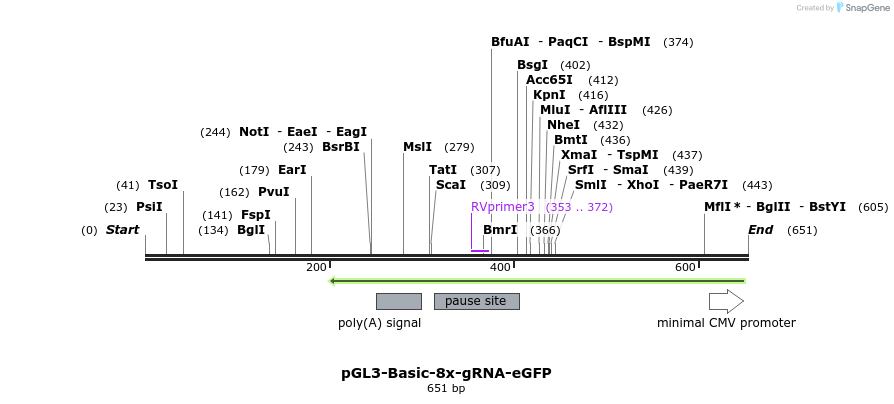 98909_map