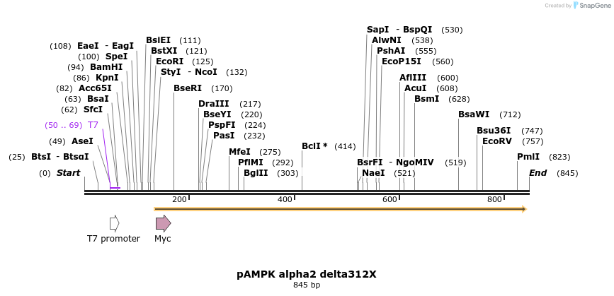 98910_map