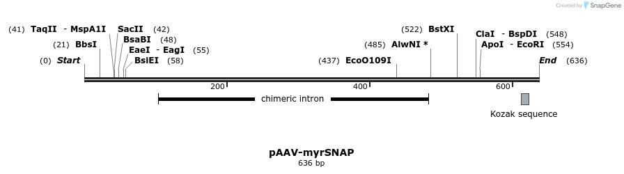 98911_map