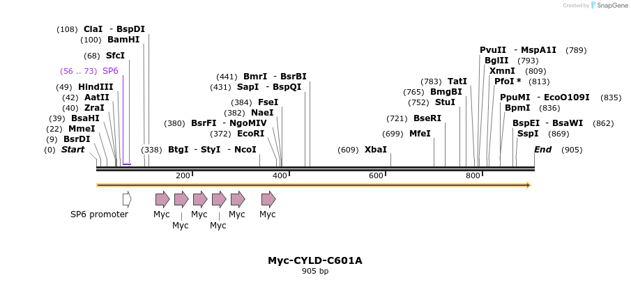 98915_map