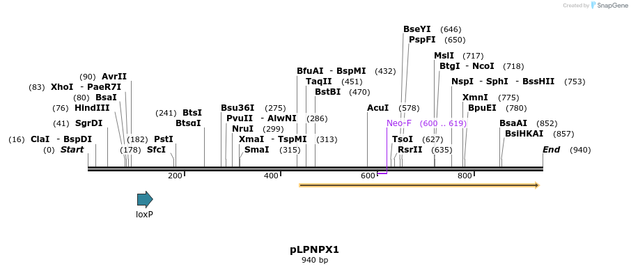 98918_map