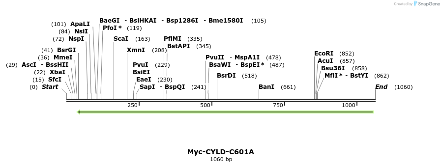 98919_map