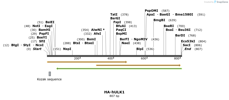 98920_map